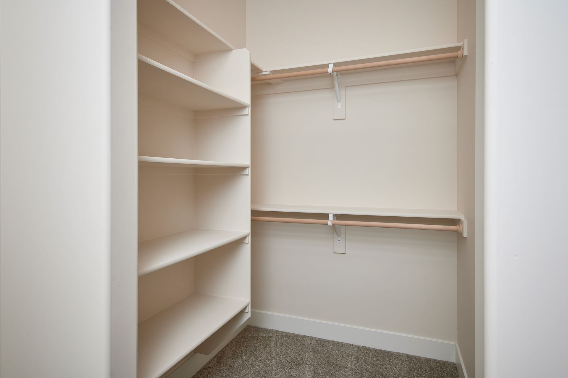 Empty walk-in closet with white shelves and hanging rods, beige walls, and carpeted floor