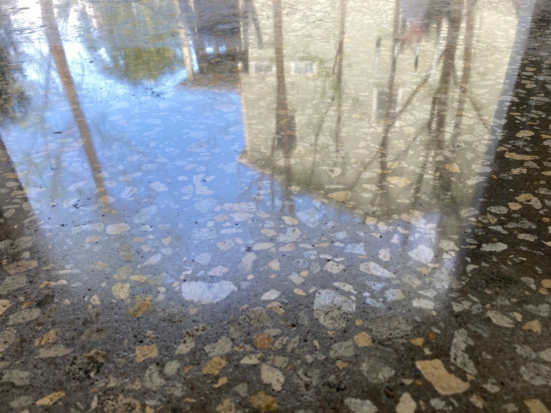 Polished concrete floor reflecting a building and trees, appearing wet with a glossy surface, and speckled with aggregate.