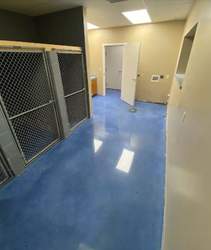 An empty, brightly lit room with a glossy blue floor. Metal cages line one wall, a doorway is open further in.