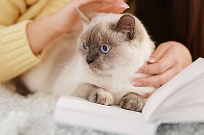 A woman is petting a cat while reading a book.