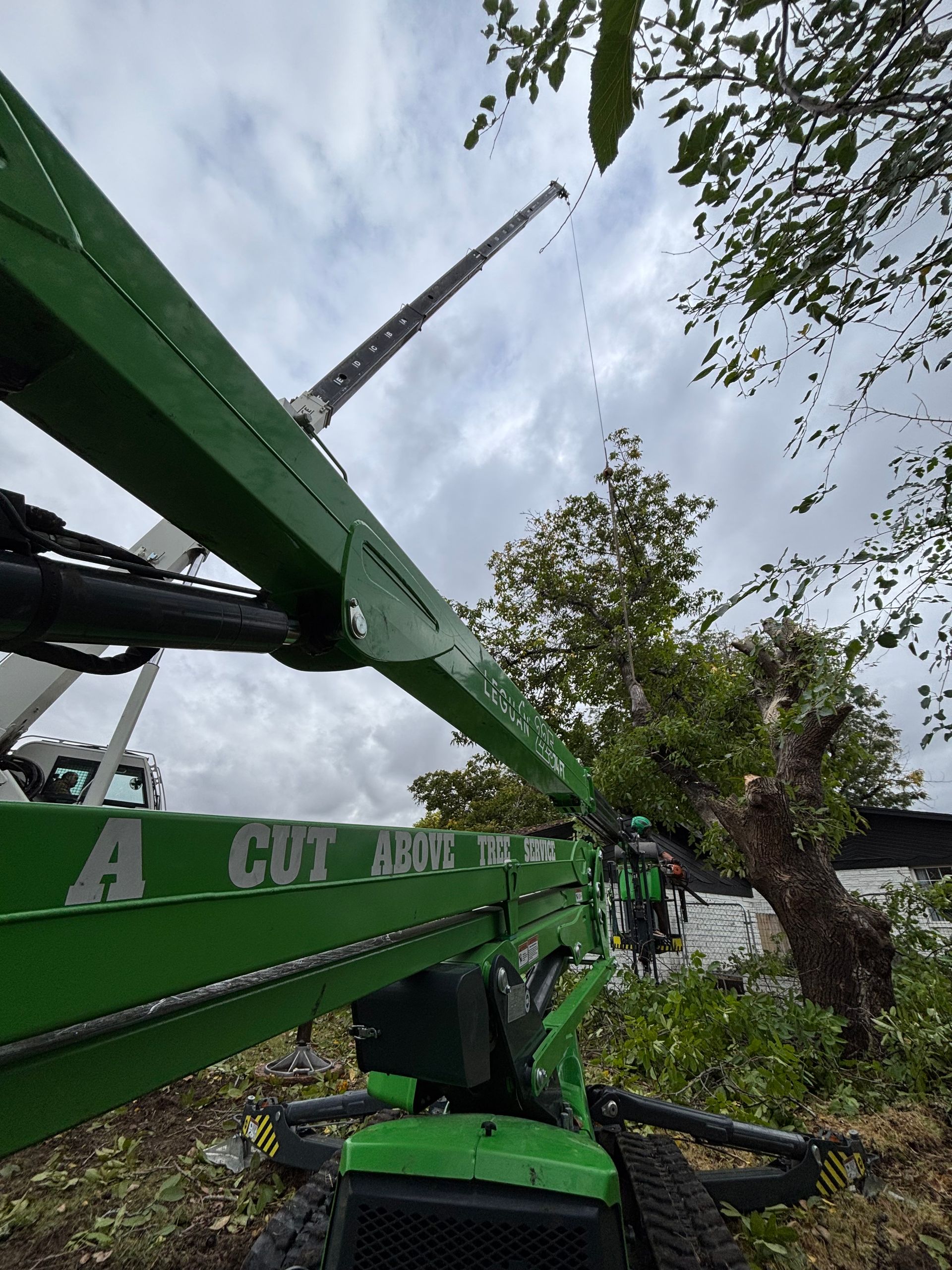 Green construction crane lifting near a tree — Tree Services in Boise, ID