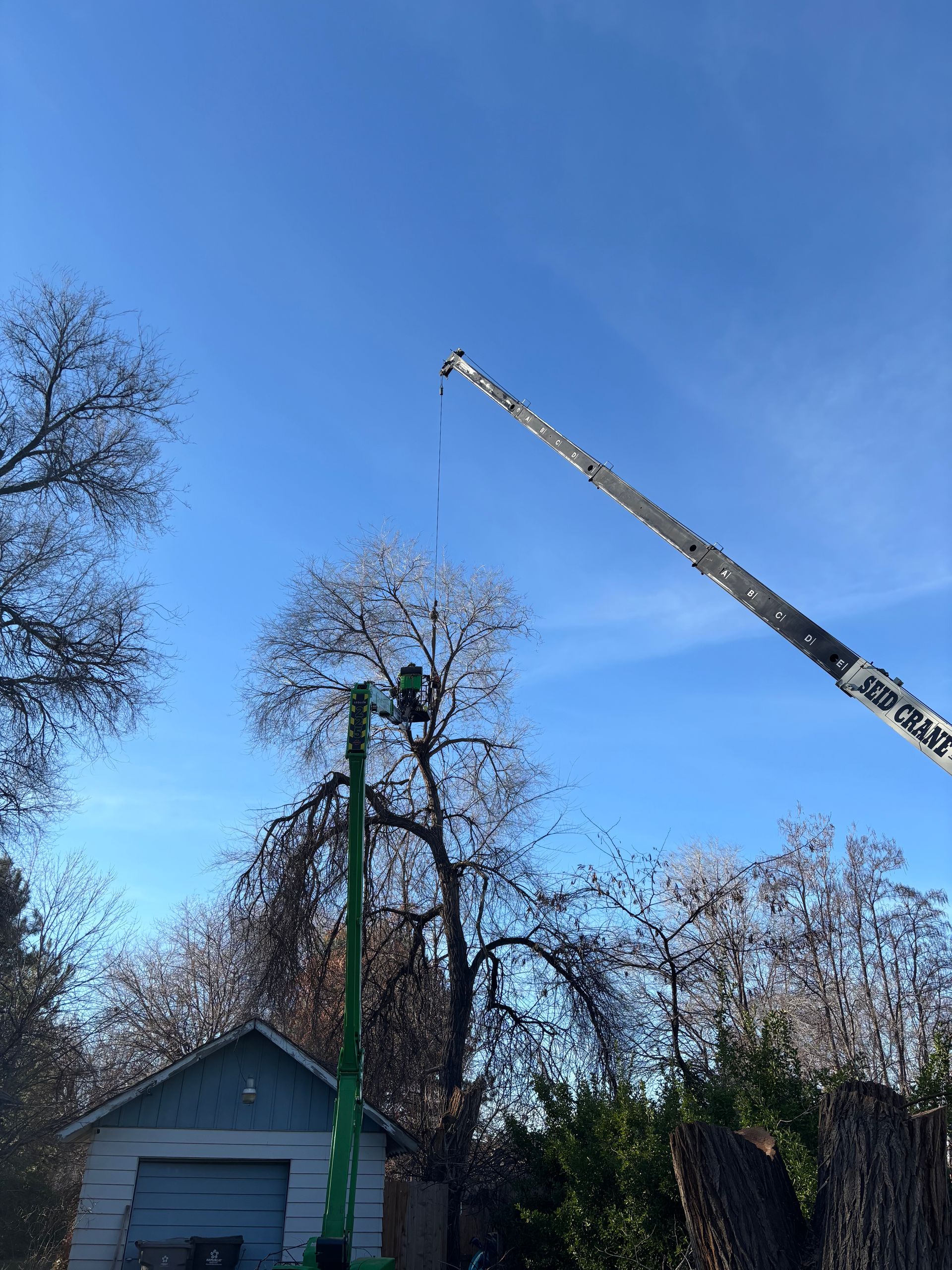 Crane lifting a tall green pole beside a house — Tree Services in Boise, ID