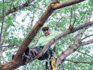 Man working high in a tree with ropes and climbing gear — Tree Services in Boise, ID