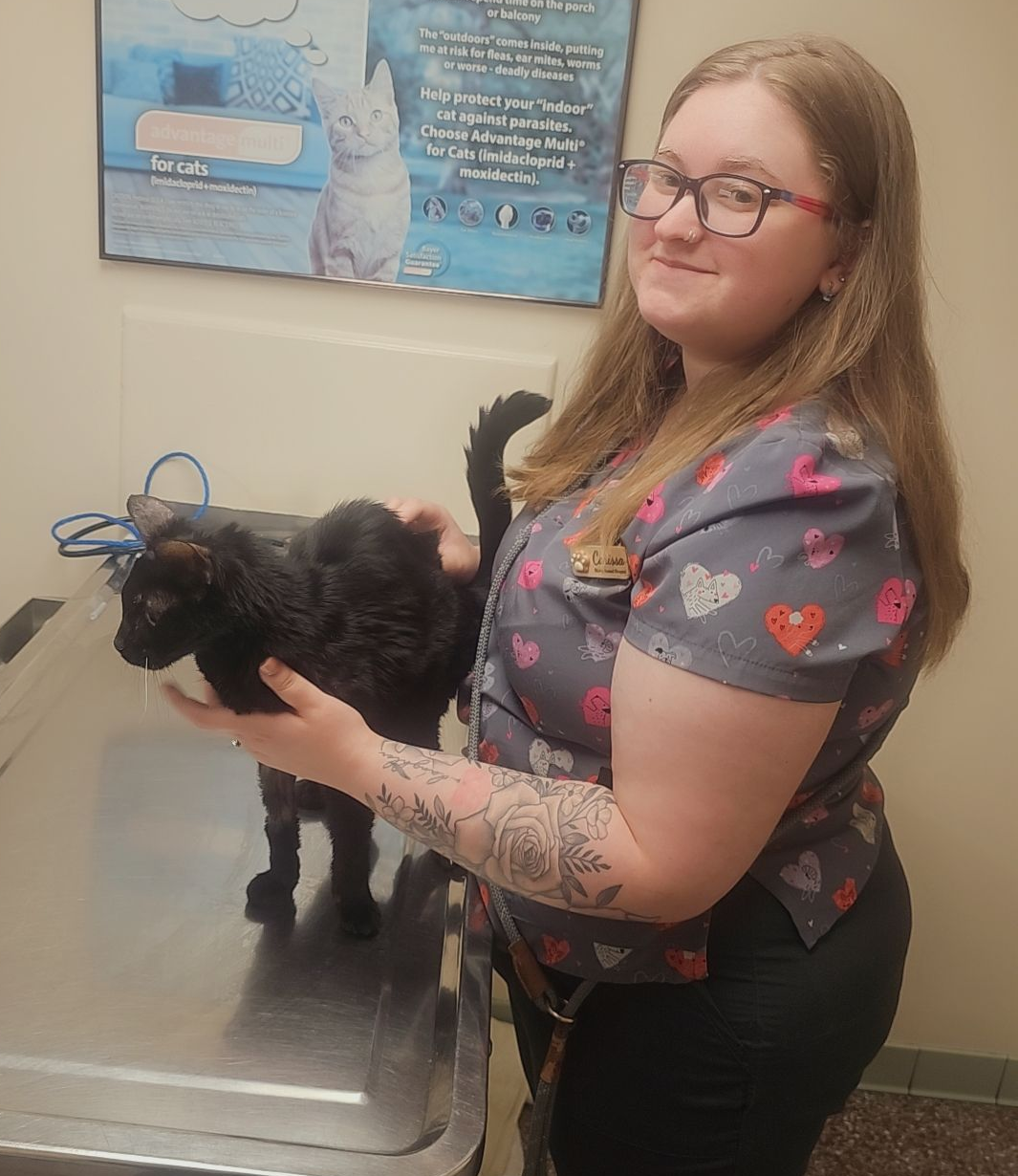 Veterinarian With Face Mask — Louisville, KY — Shively Animal Clinic & Hospital Veterinarian With Face Mask — Louisville, KY — Shively Animal Clinic & Hospital