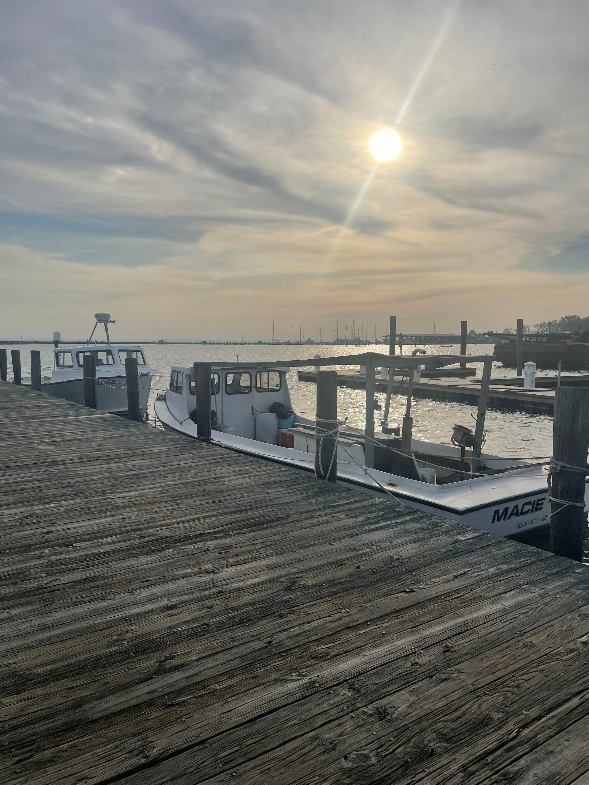 Sailboats at a marina at sunset, with the sun reflecting on calm water and a wooden dock in the foreground