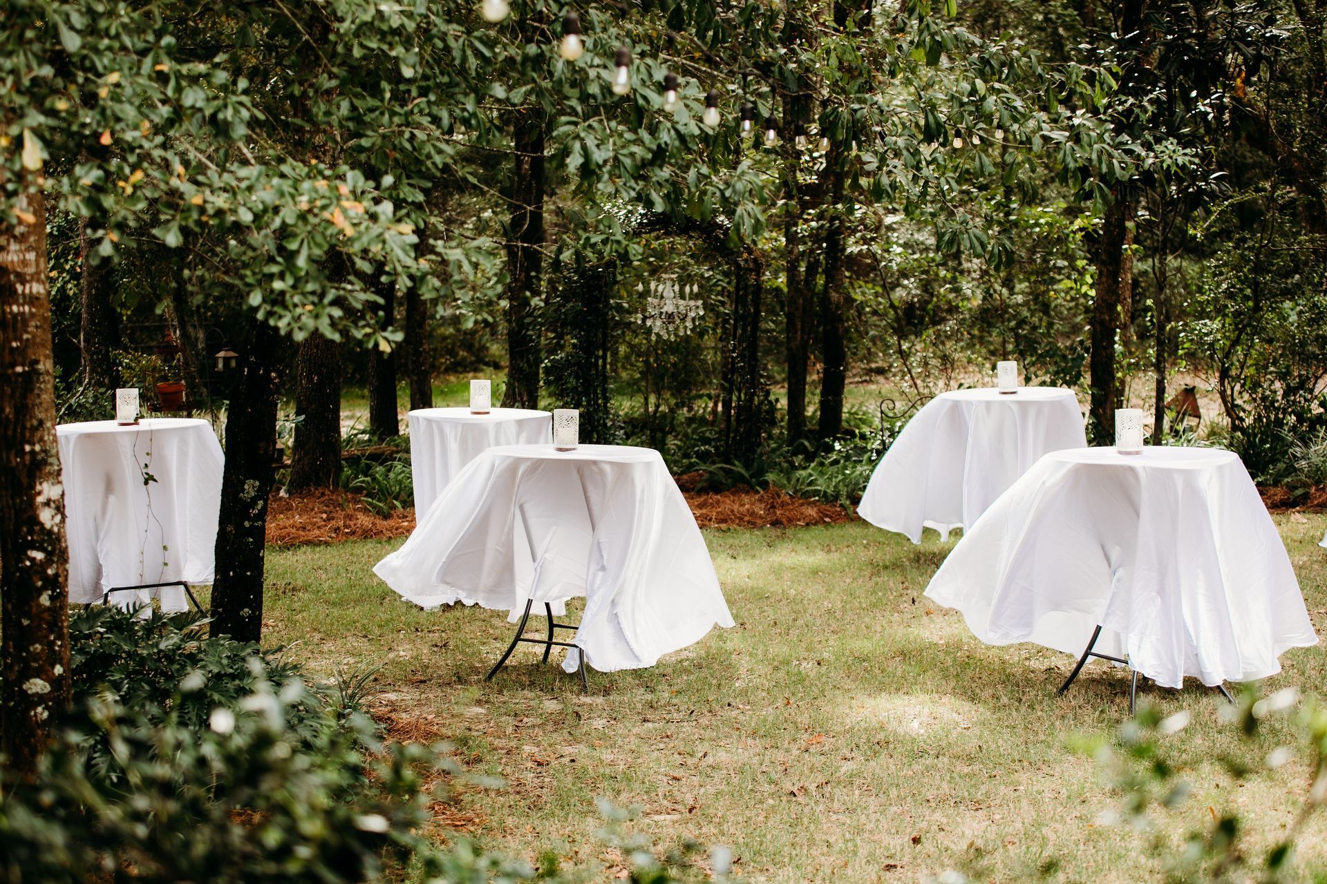 live oak plantation outdoor wedding ceremony