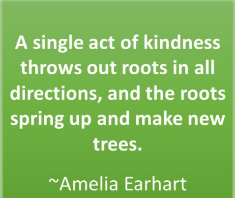 Amelia Earhart Quote