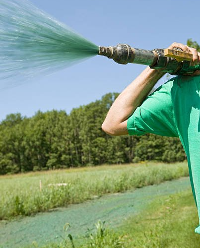 Professional Performing Hydroseeding Service
