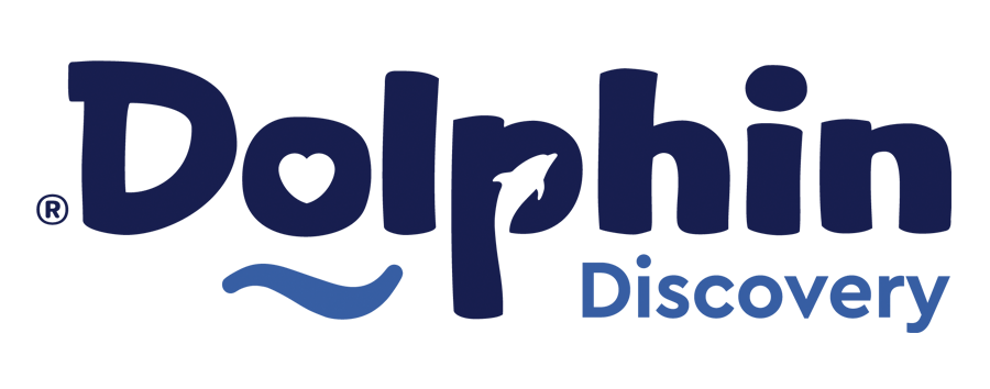 Logotipo de Dolphin Discovery en azul oscuro, con un icono estilizado de un delfín y una ola sobre un fondo blanco