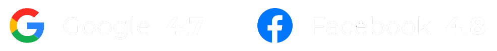 Google and Facebook