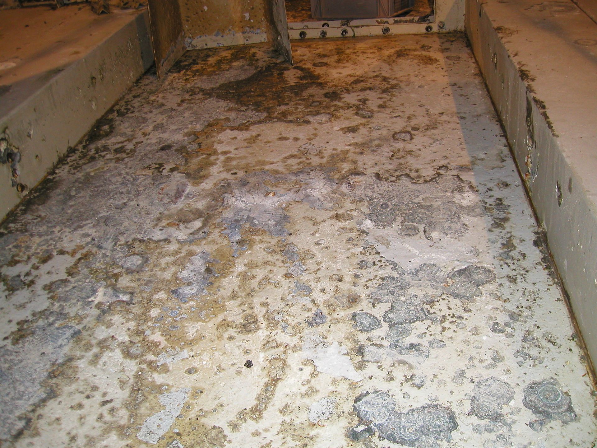 Dirty concrete floor with peeling paint and scattered debris in a narrow room