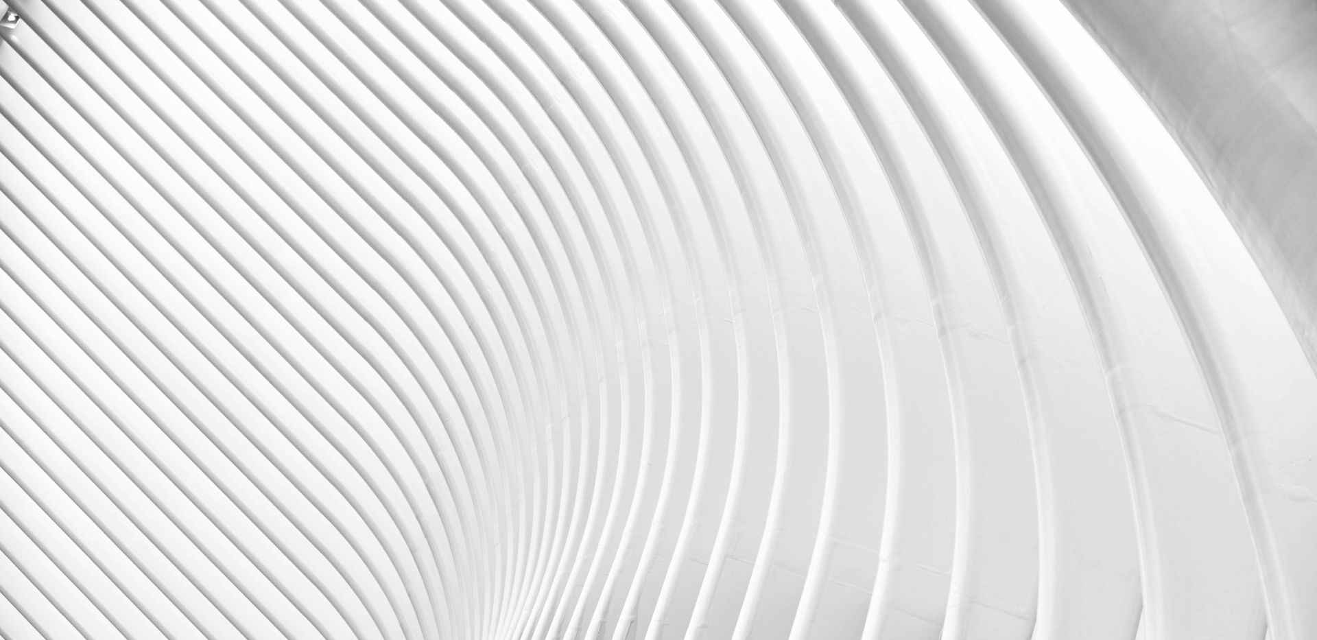 Abstract close-up of repeating, curved white ribs creating a rhythmic, architectural pattern.