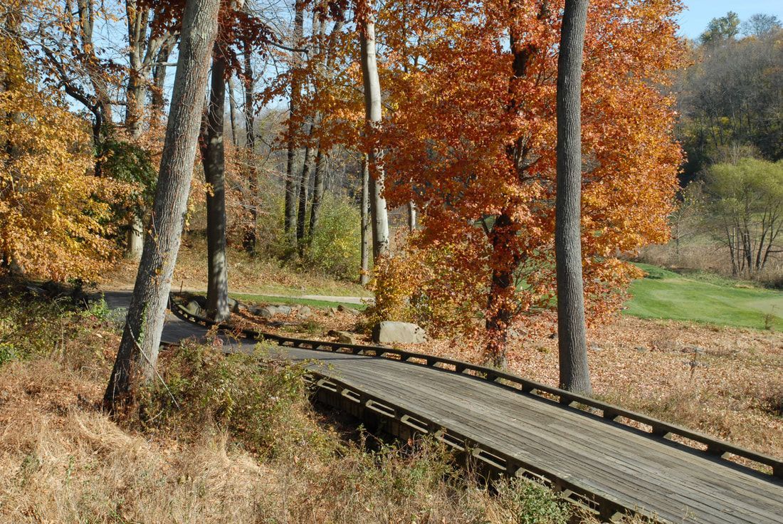 A curved wooden bridge with a metal railing spans a small ravine, surrounded by autumn trees with orange and gold leaves.