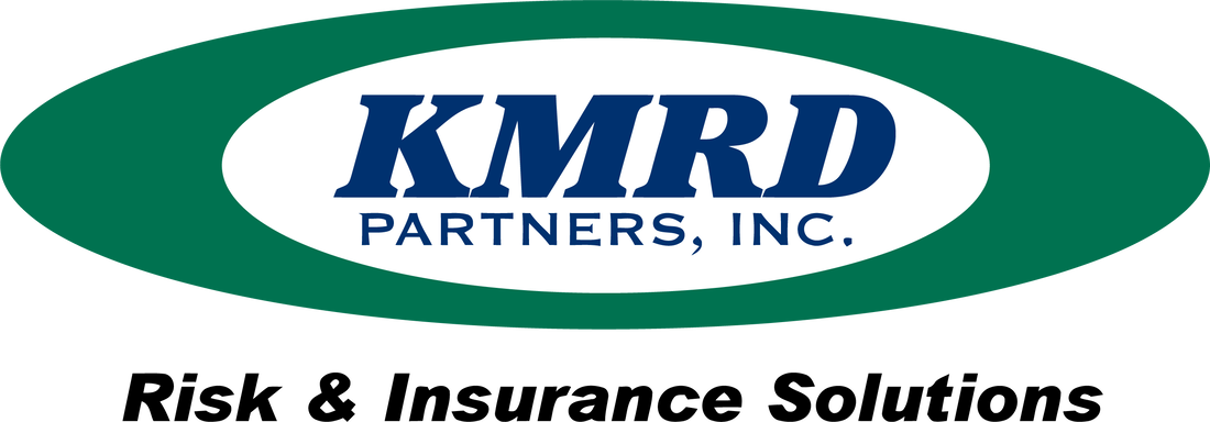 The KMRD Partners, Inc. logo: dark blue text inside a green oval, with