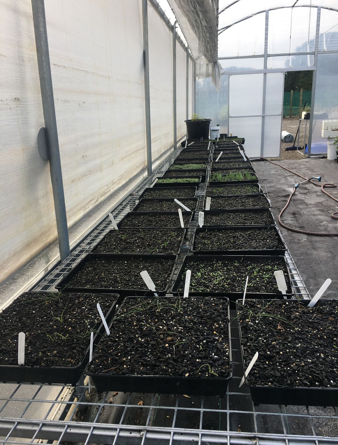 A greenhouse filled with lots of potted plants
