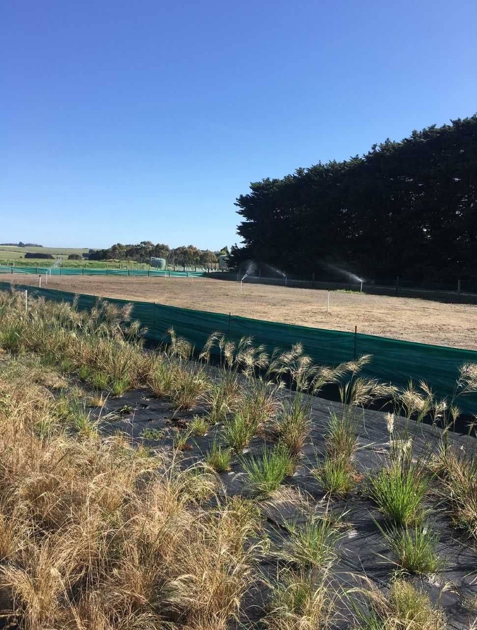 A field with a fence and trees in the background
