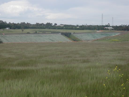 A large grassy field with a few yellow flowers in the foreground