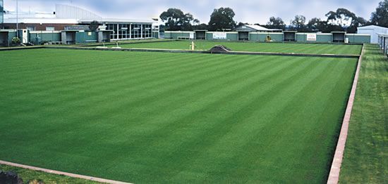 A lush green field with a building in the background
