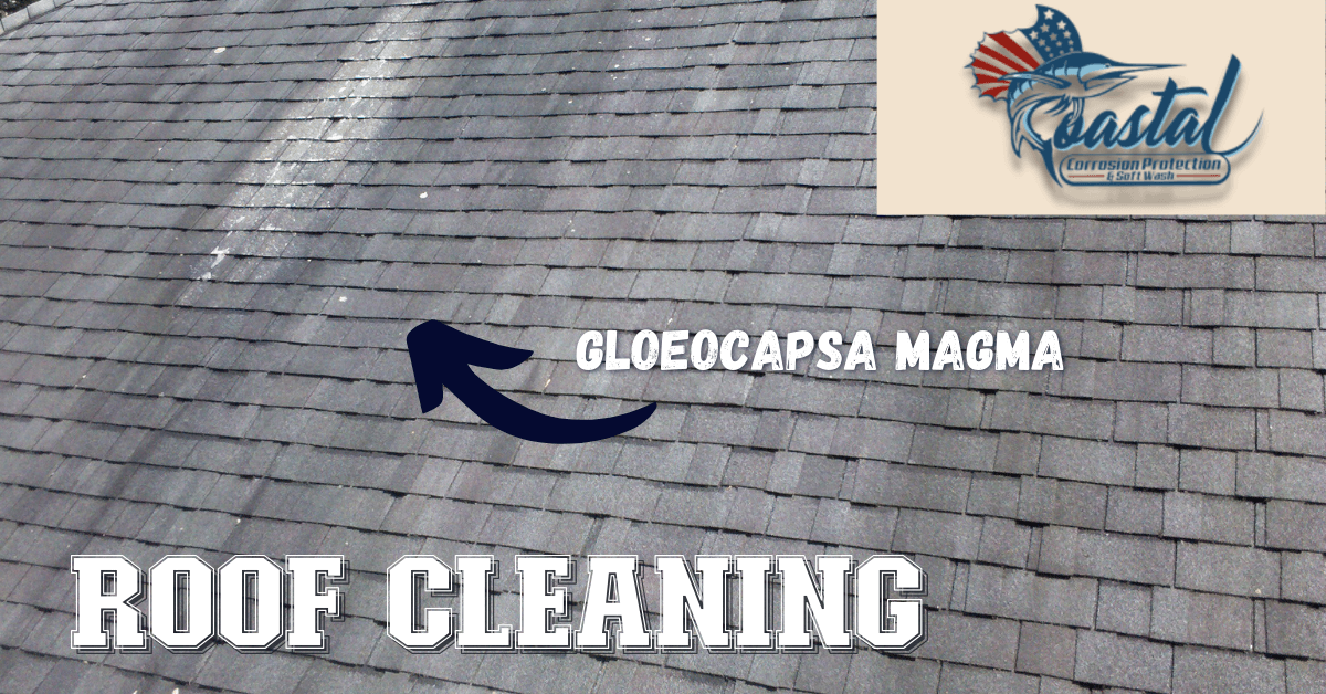 Roof cleaning in de