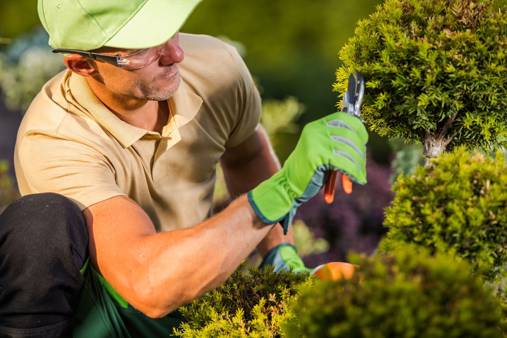 Landscaping Service