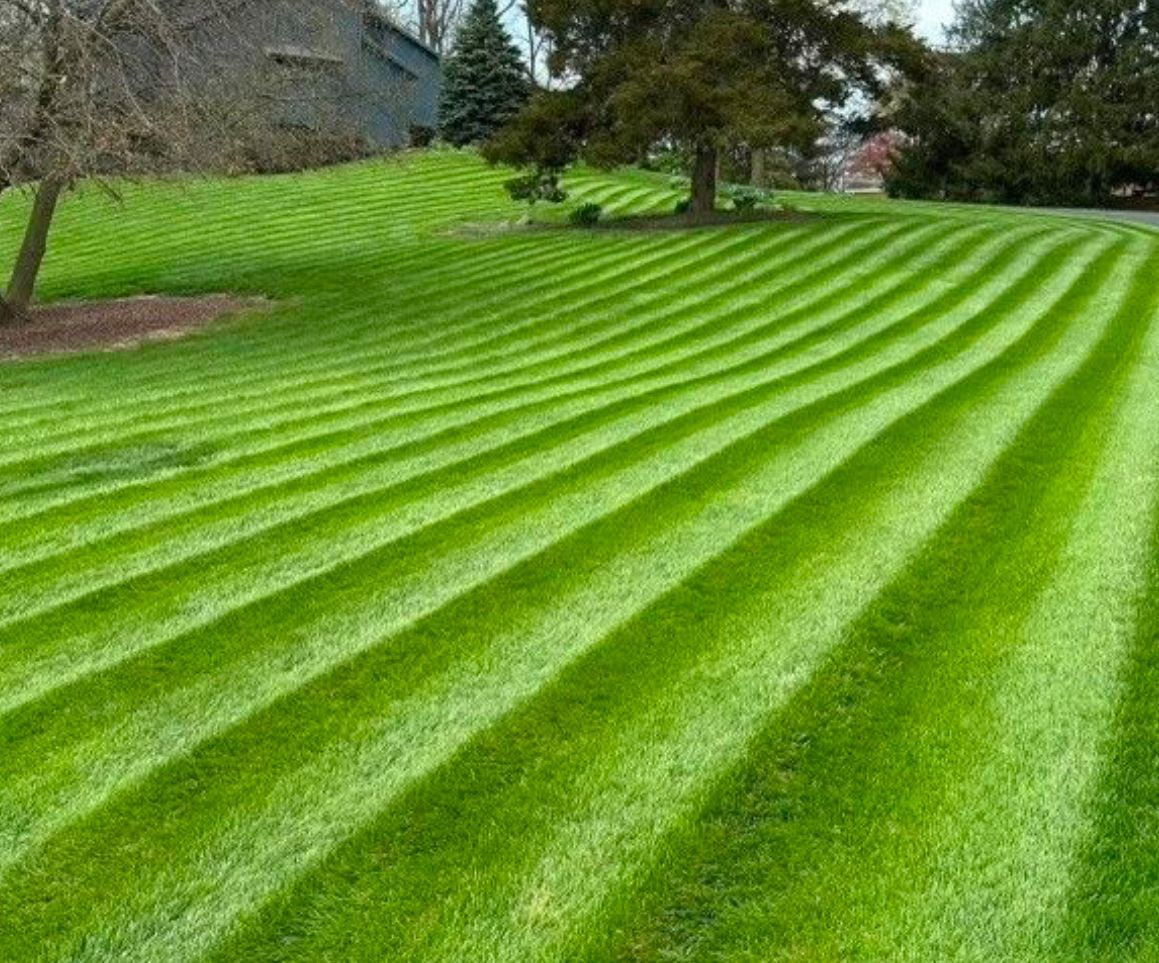 A lush green lawn with a striped pattern and trees in the background.