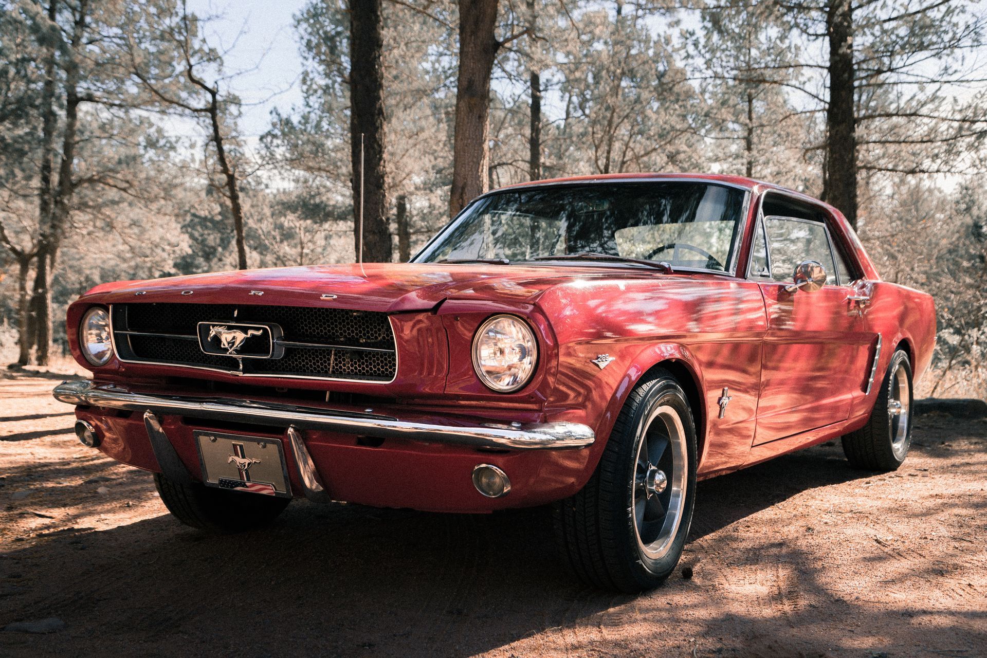 Red vintage Ford Mustang parked in a wooded area, surrounded by trees.