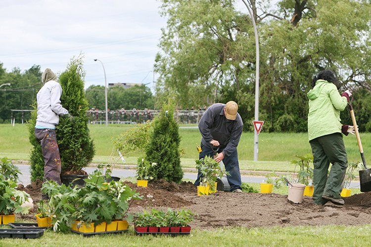 Planting Trees and Flowers — Waukegan, IL — Manuel Brick Paving & Landscaping Planting Trees and Flowers — Waukegan, IL — Manuel Brick Paving & Landscaping