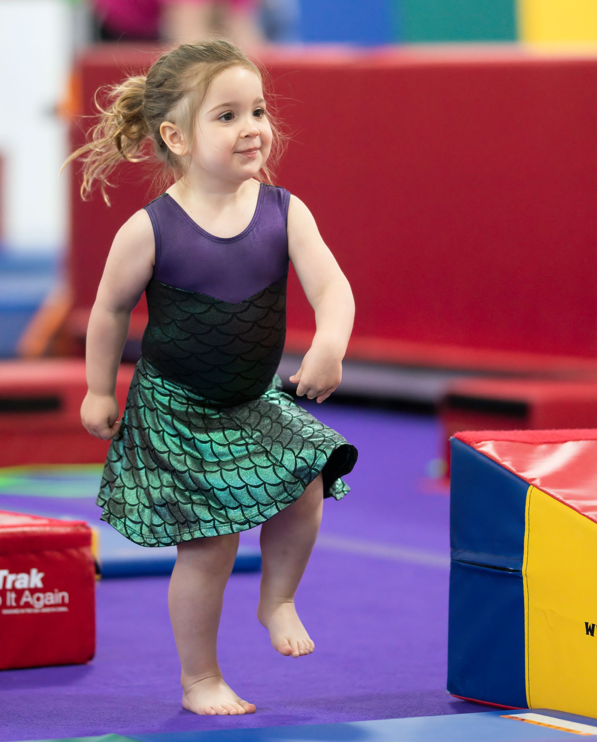 Preschool Gymnastics & Ninja Classes | Olympia Gymnastics | St. Louis, MO