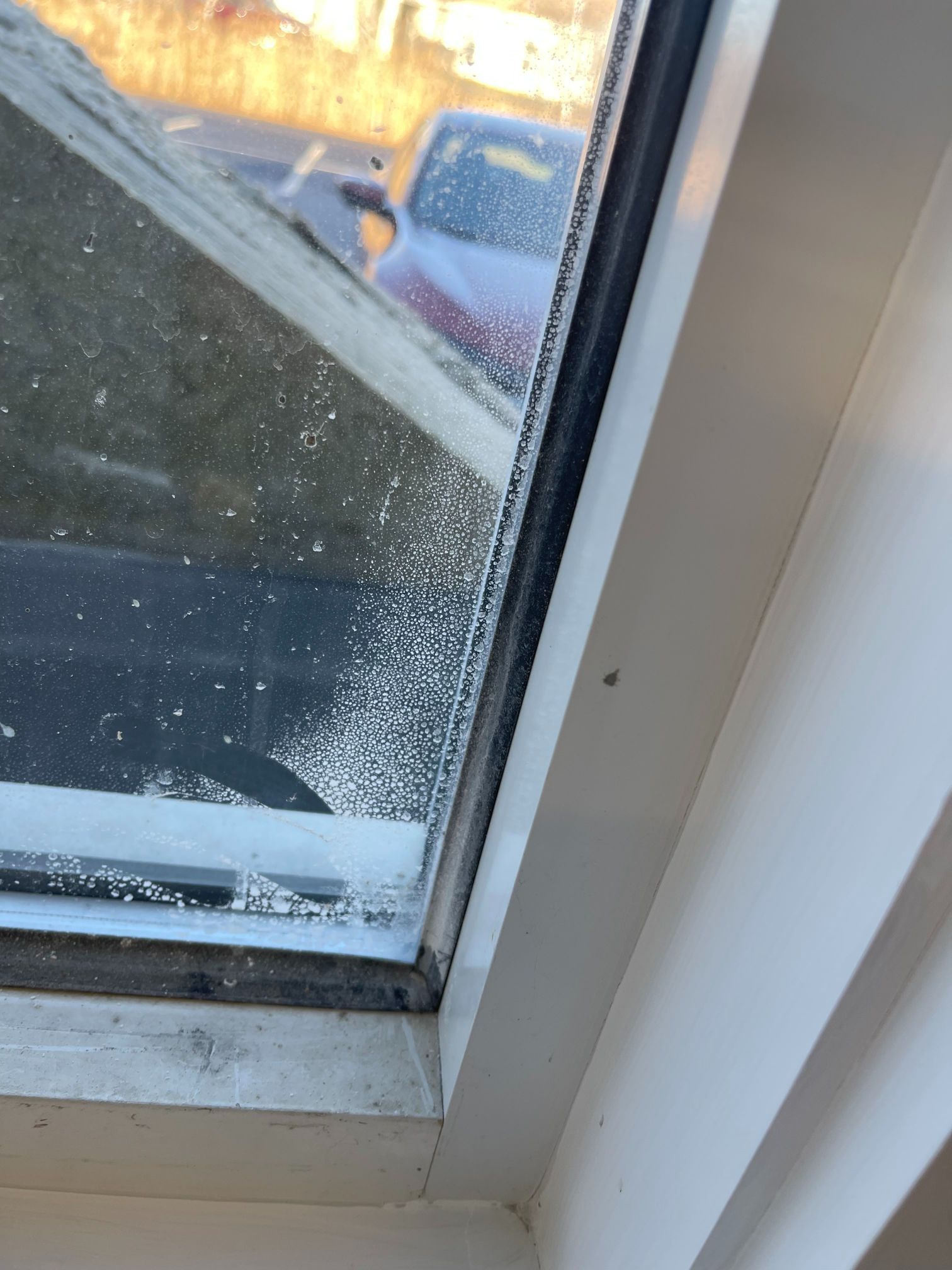 A skylight with condensation and white trim, viewed from inside. Cars and a building are visible outside.