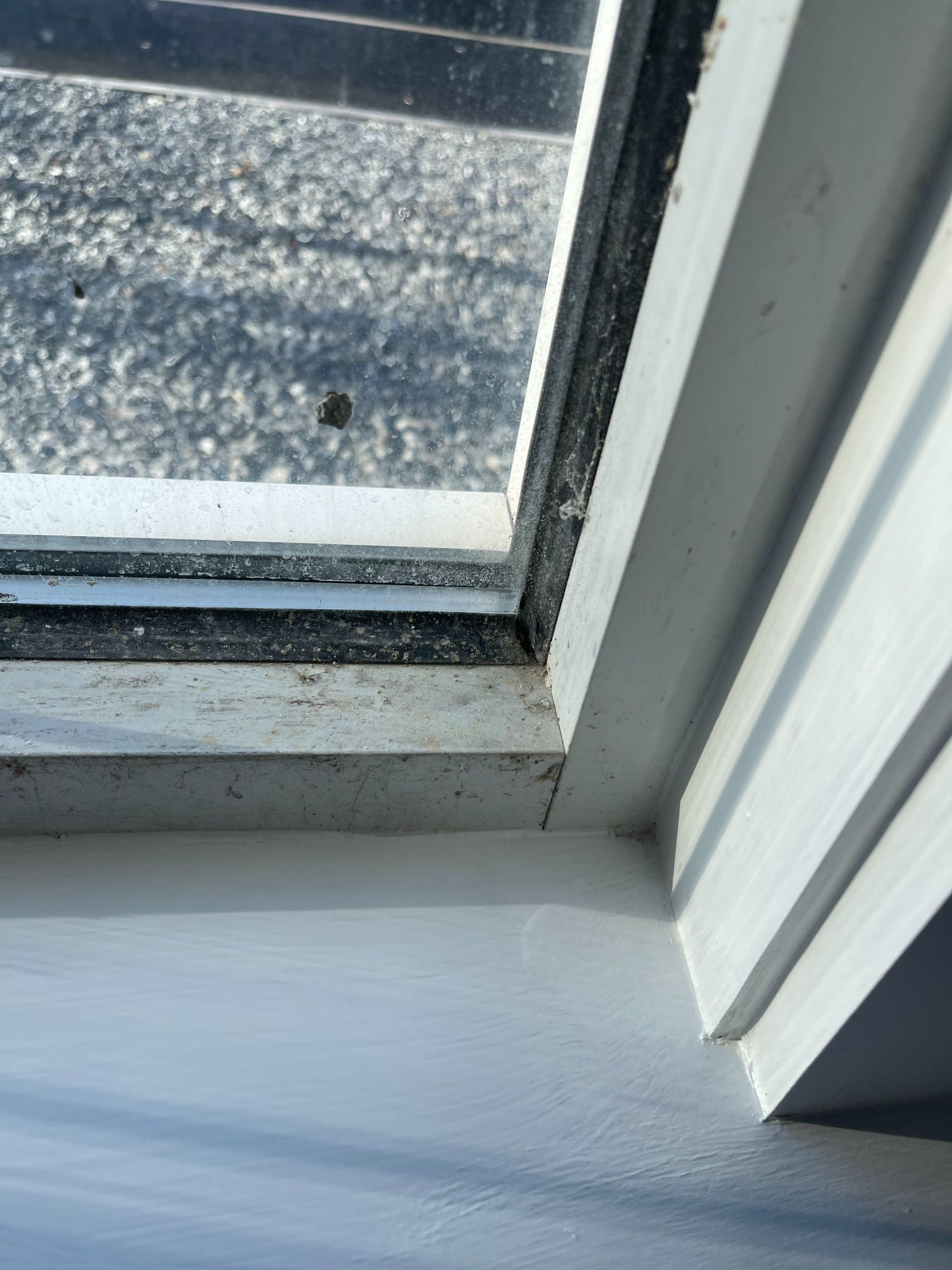 White-framed skylight. Close-up view reveals condensation, possible mold, and a painted white surface.