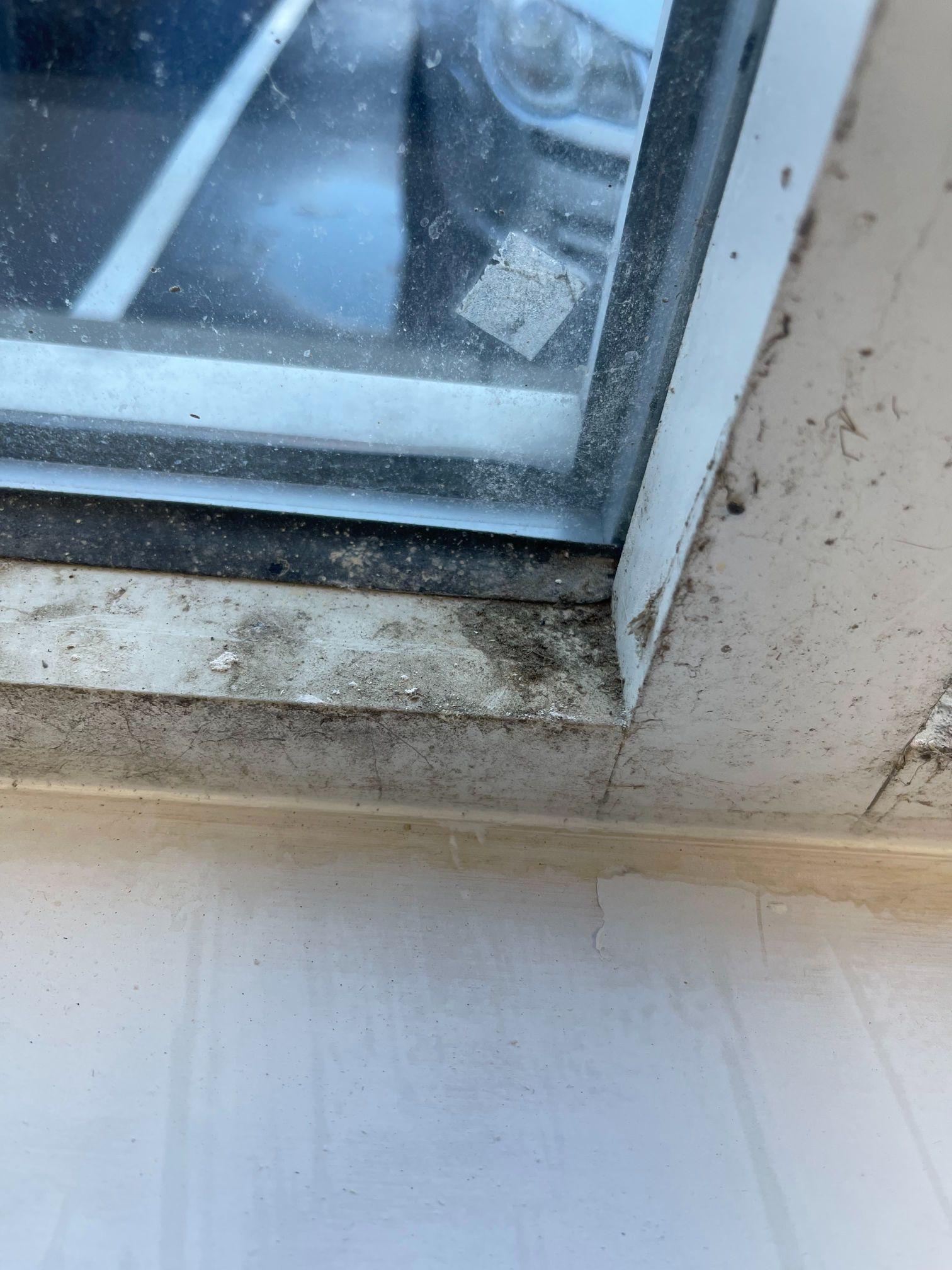Close-up of a dirty window frame, with visible mold and grime.