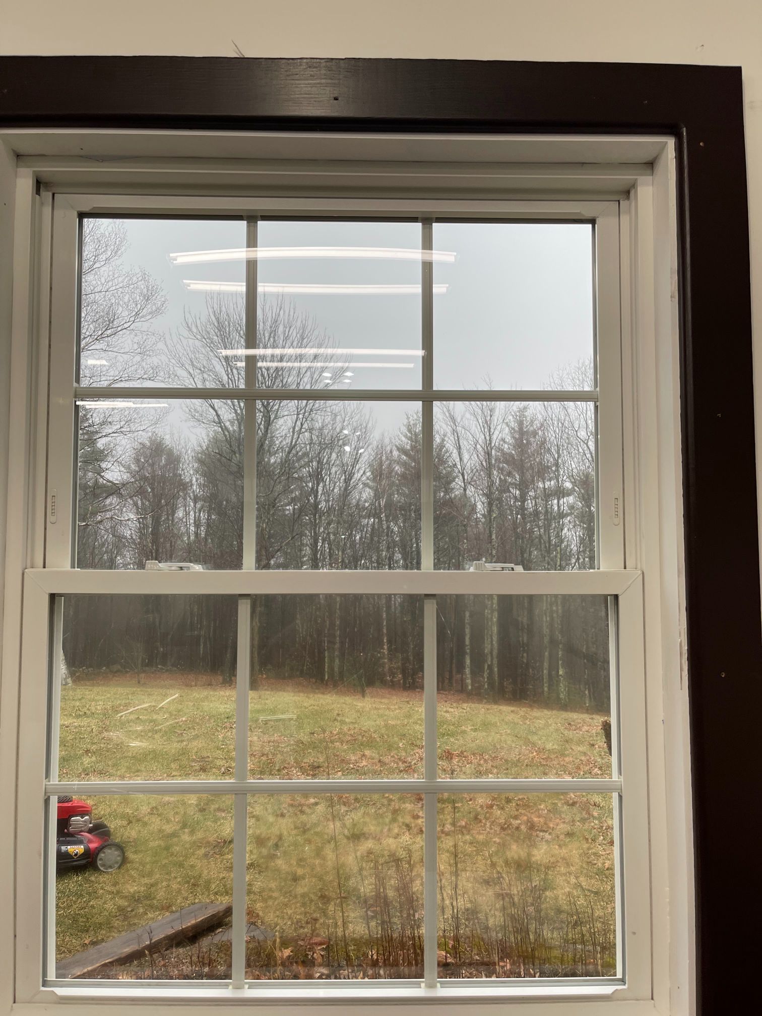 White-framed window looking out onto a grassy field and treeline under a cloudy sky.
