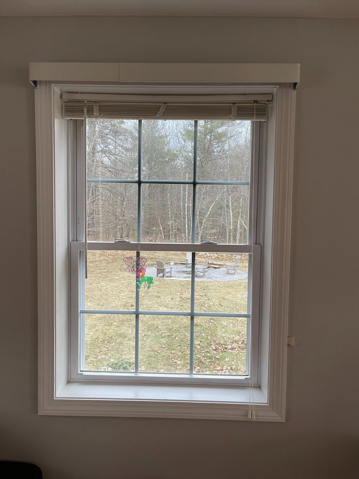Window with white frame and beige blinds, overlooking a yard and trees.
