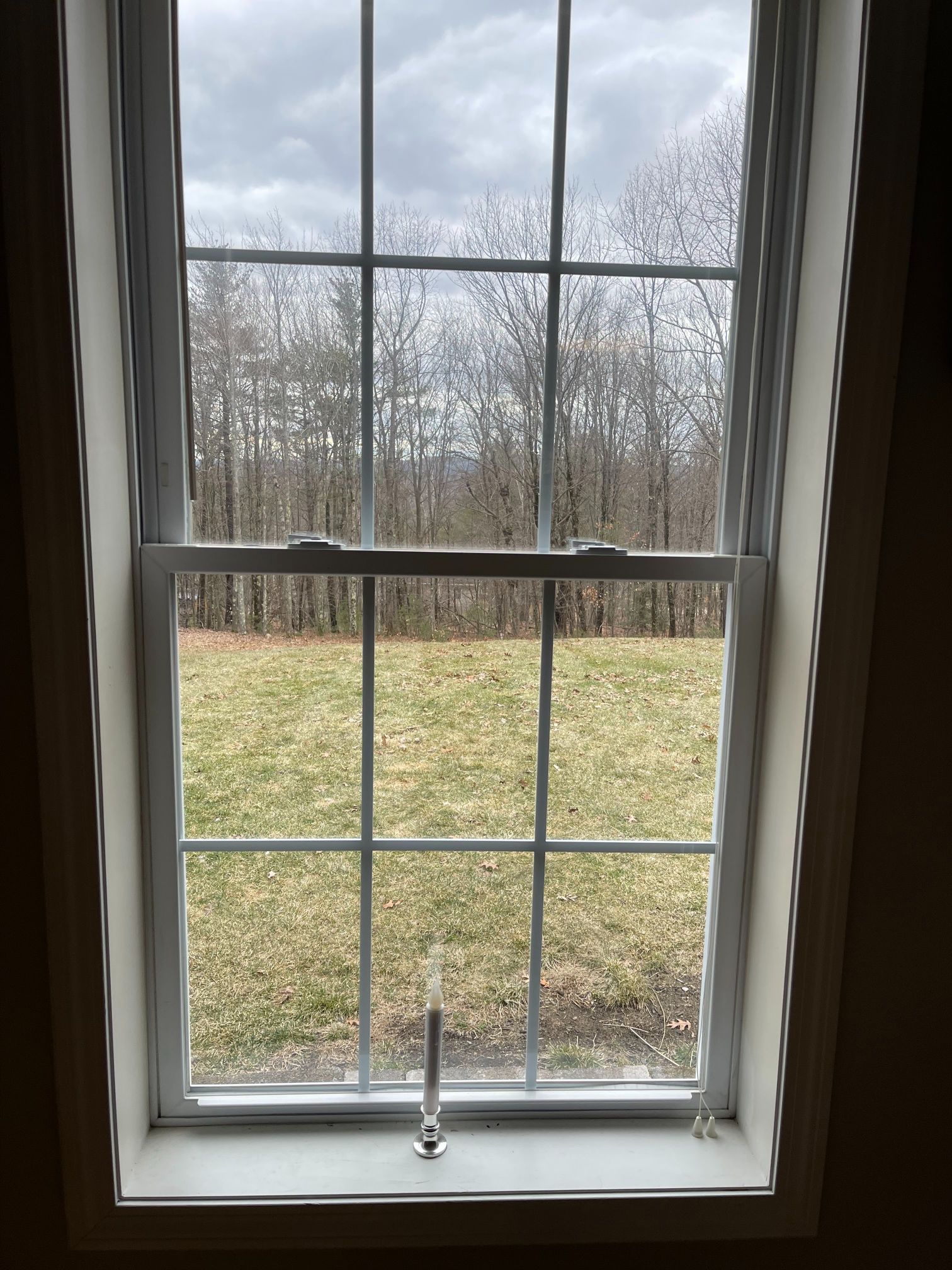 White window with grid pattern overlooking a grassy yard and trees under a cloudy sky.