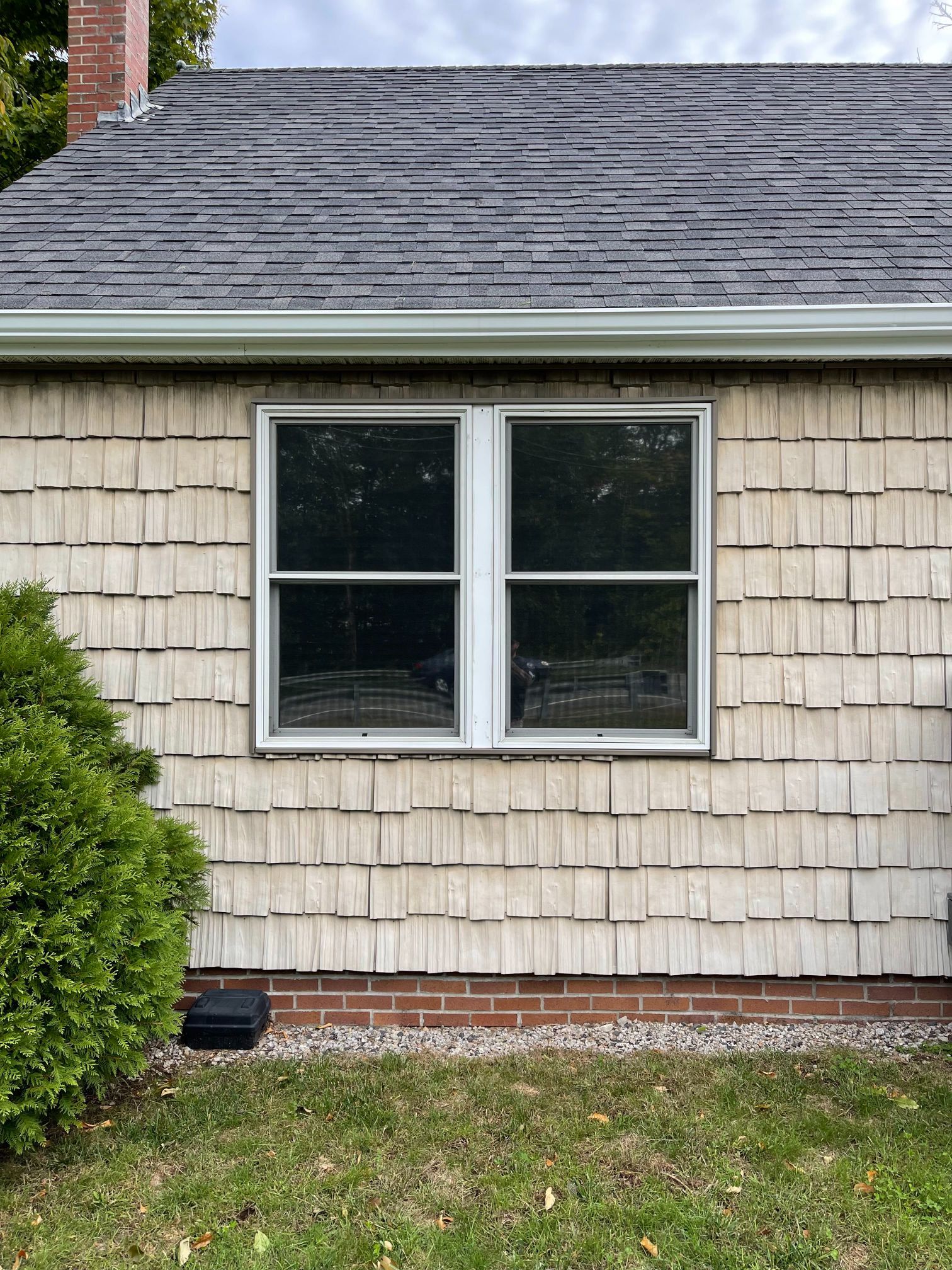 Two-pane window on a house with gray shingles and light brown siding, small green bush on left.