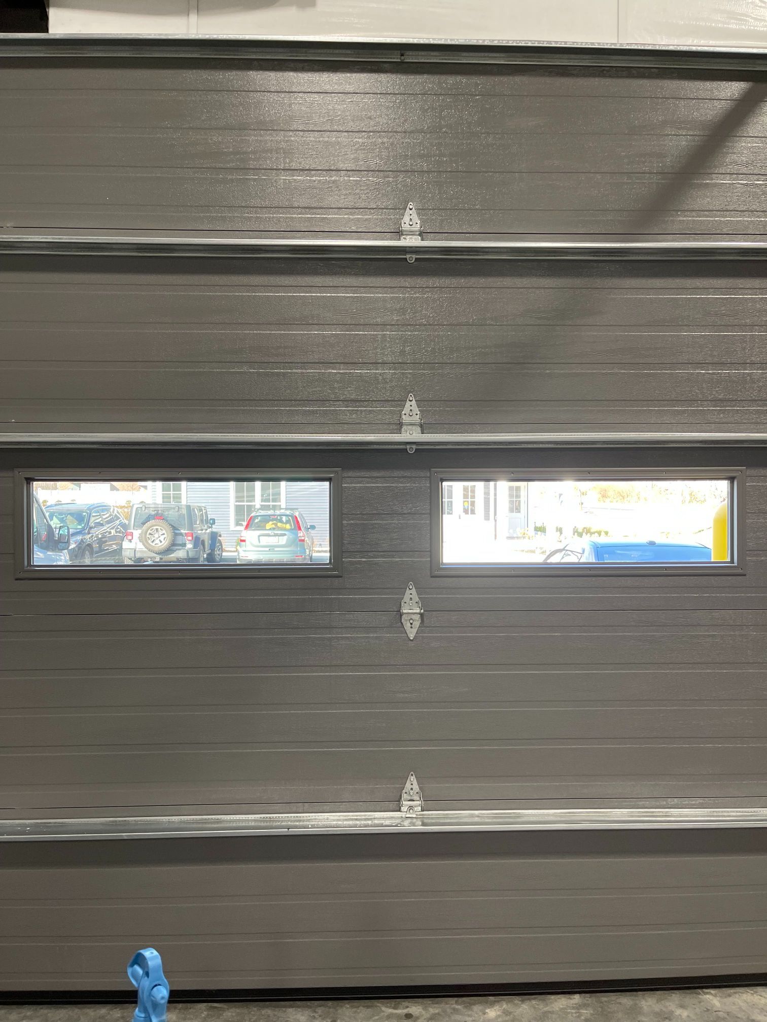 Gray garage door with two rectangular windows, reflecting an outdoor scene.
