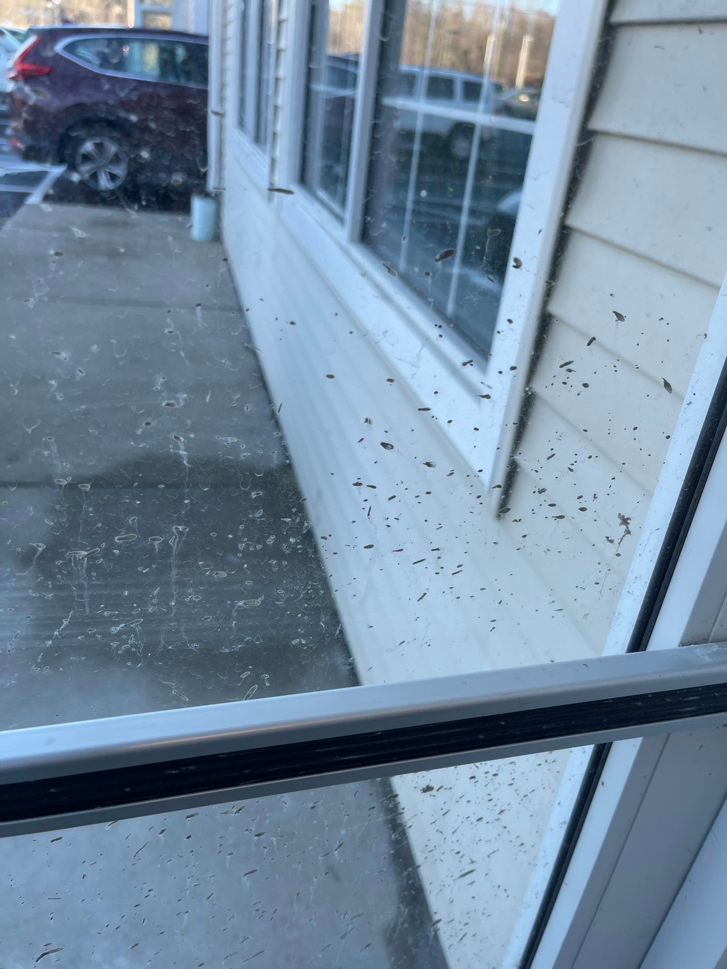 A glass window and siding of a building with visible dirt and stains. A car is parked nearby.
