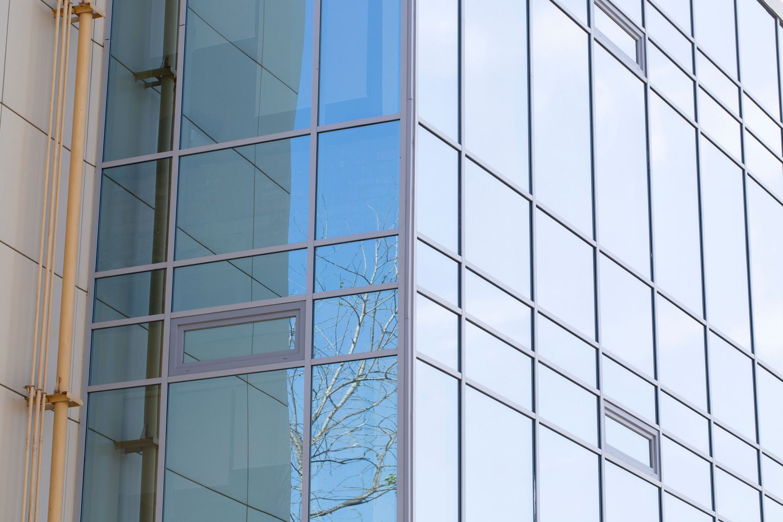 A tall building with a lot of windows and a tree reflected in the windows.