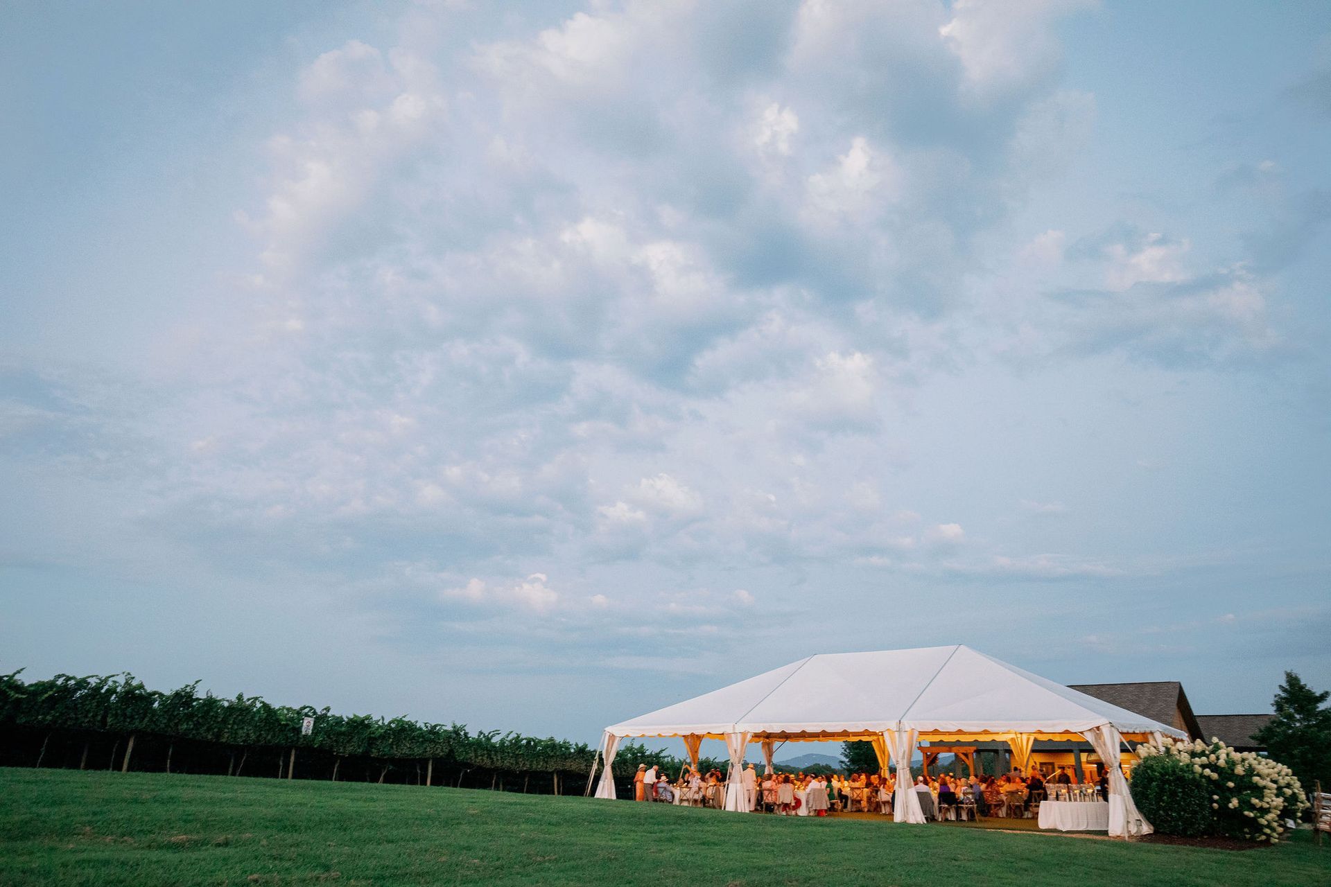 White tent set up for an outdoor event on a grassy hill; vineyard and cloudy sky in background.