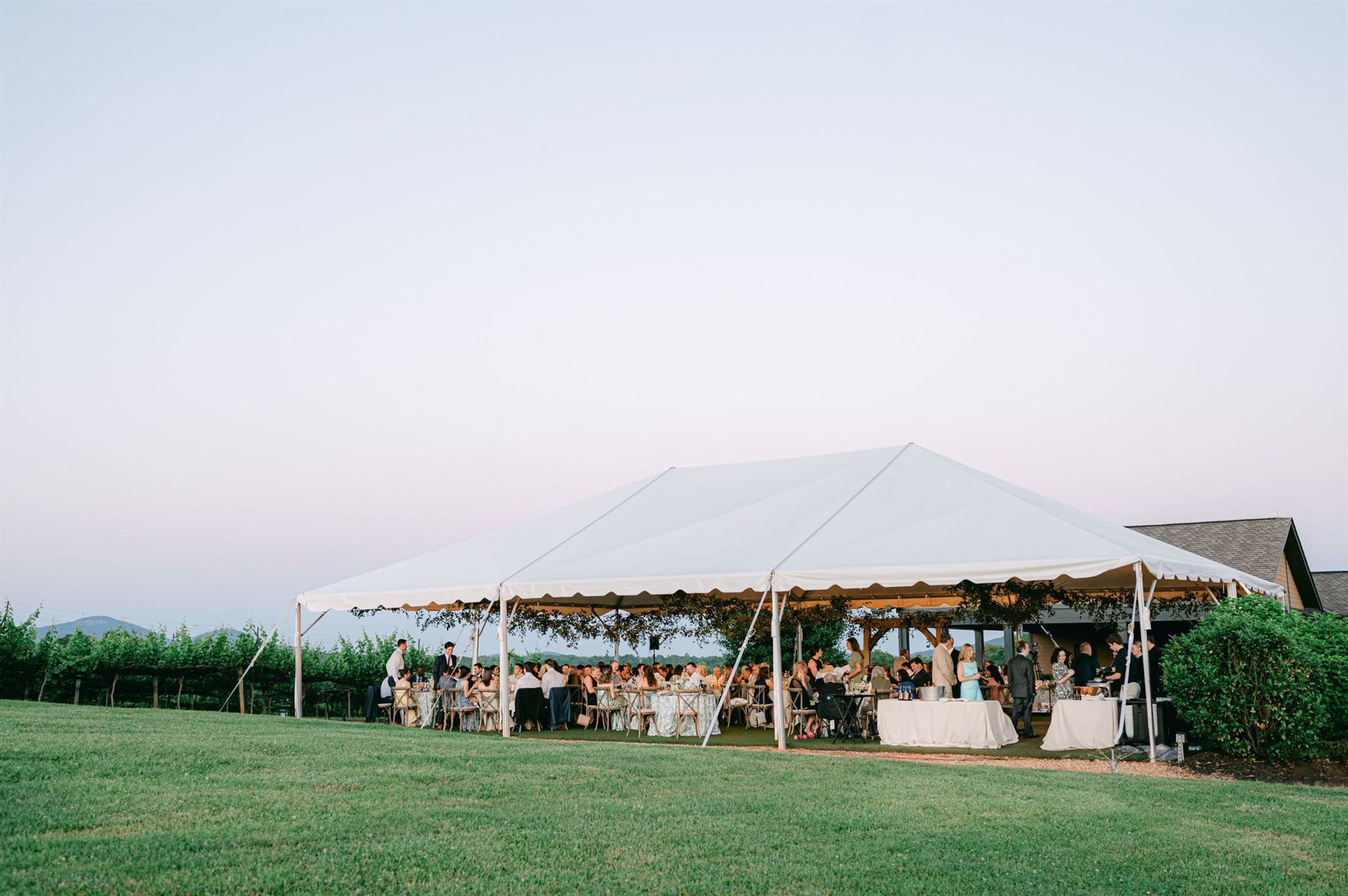 A wedding reception under a white tent in a vineyard at dusk.