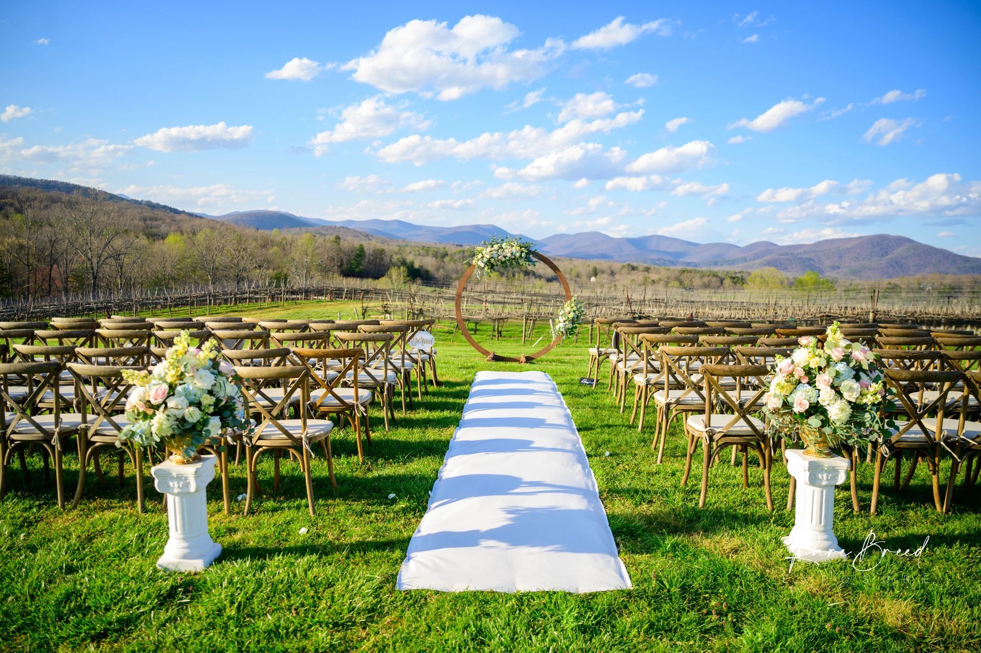 Wedding ceremony setup in vineyard with mountain backdrop; chairs, aisle, floral arrangements, and arch.