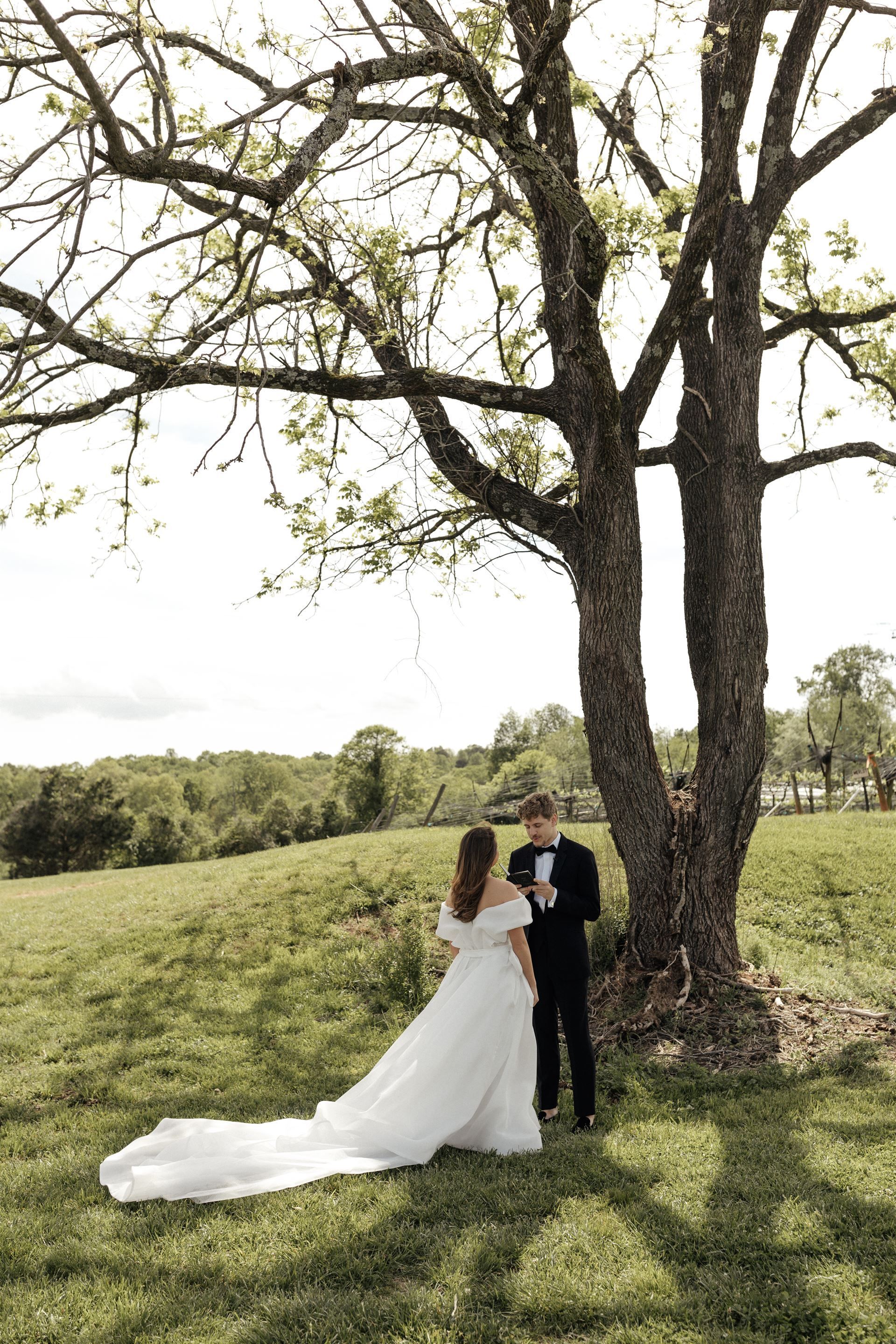 Bride and groom under a tree. Bride in white gown with train, groom in tuxedo. Green field in background.