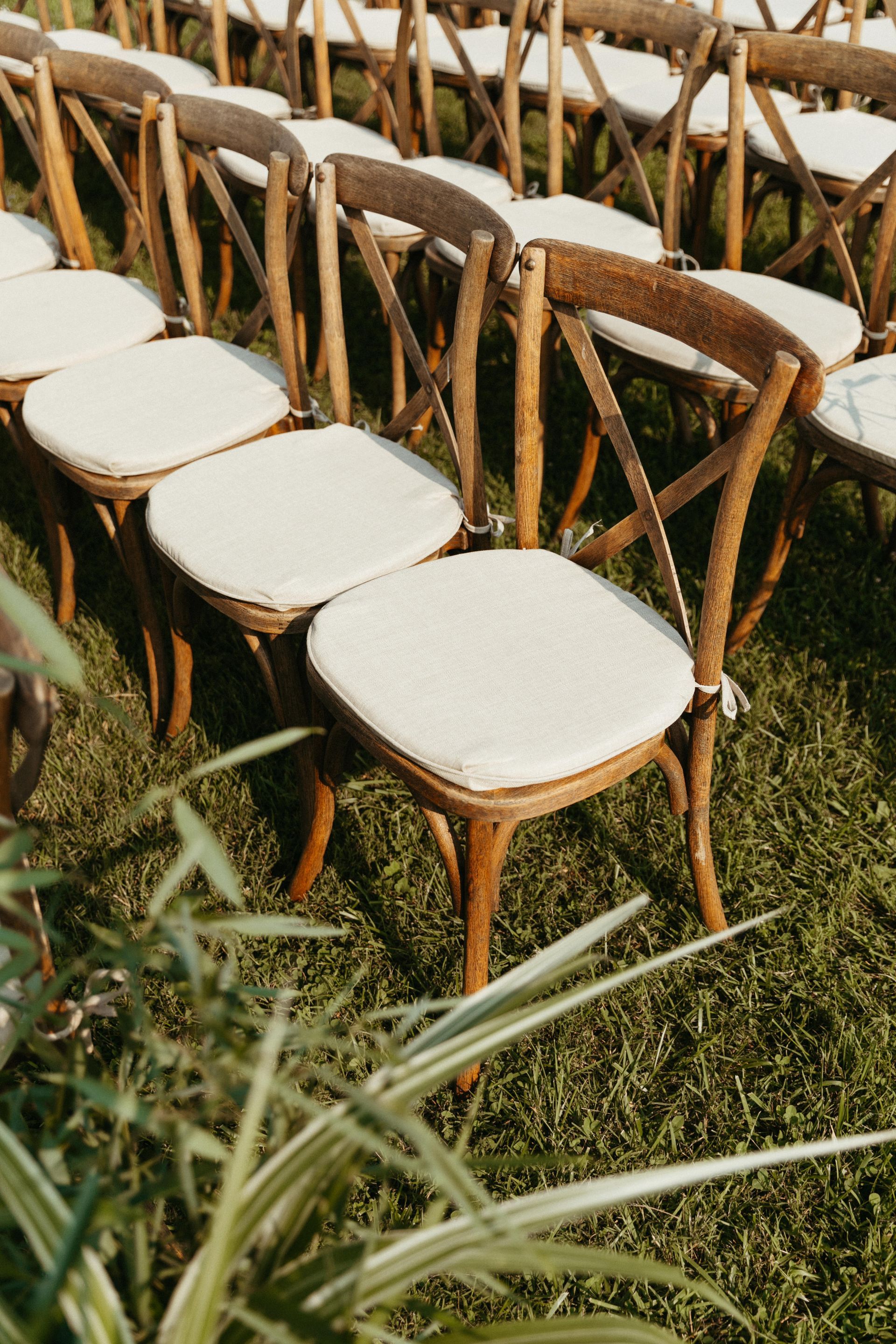 Rows of wooden chairs with white cushions arranged on grass for an outdoor event.