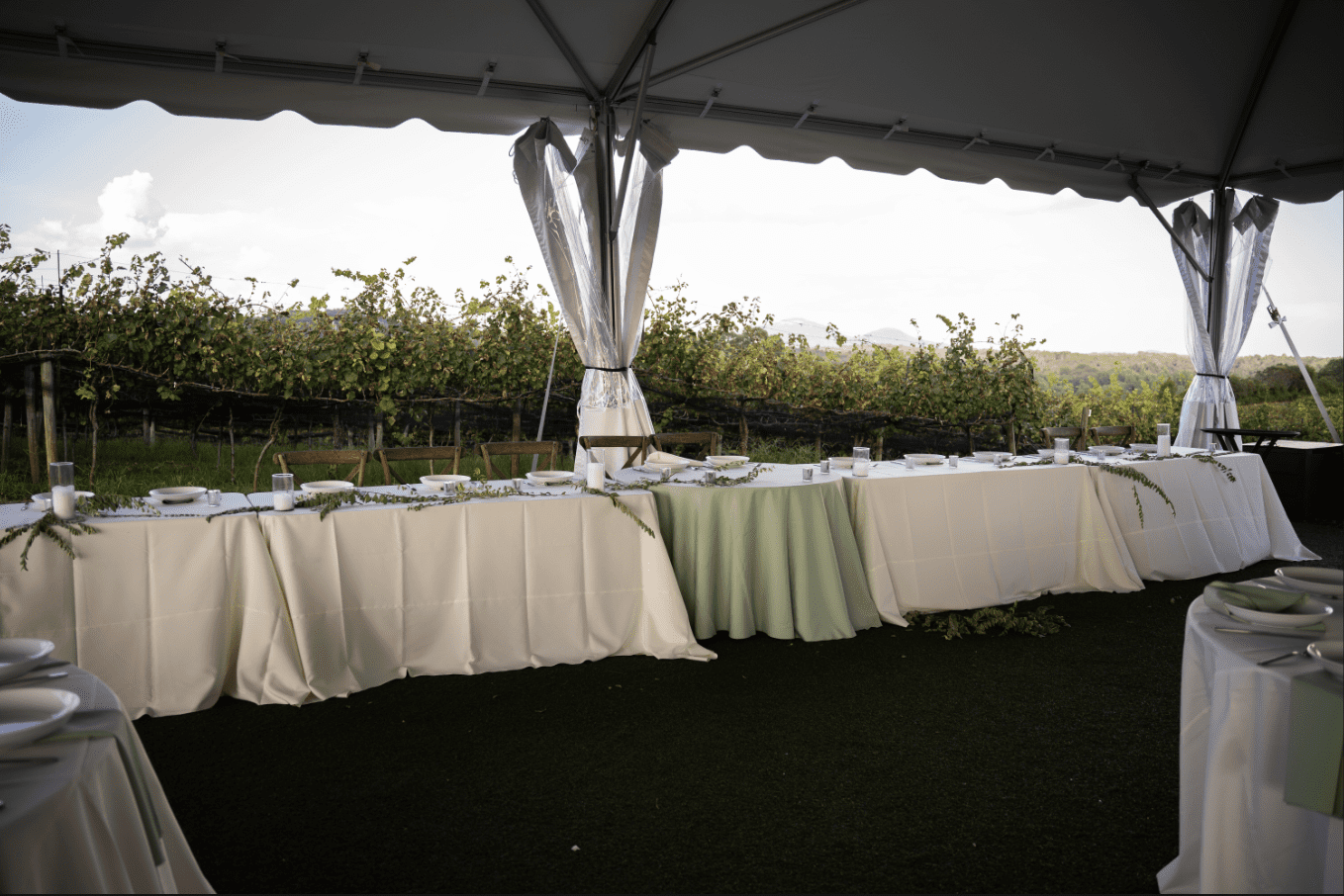 Long banquet tables set under a tent, overlooking a vineyard. Tables have white and green linens.