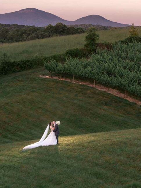 A bride and groom are kissing in a field with mountains in the background.