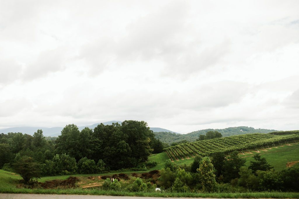 Rolling green landscape under cloudy sky; trees, vineyard, and distant hills visible.