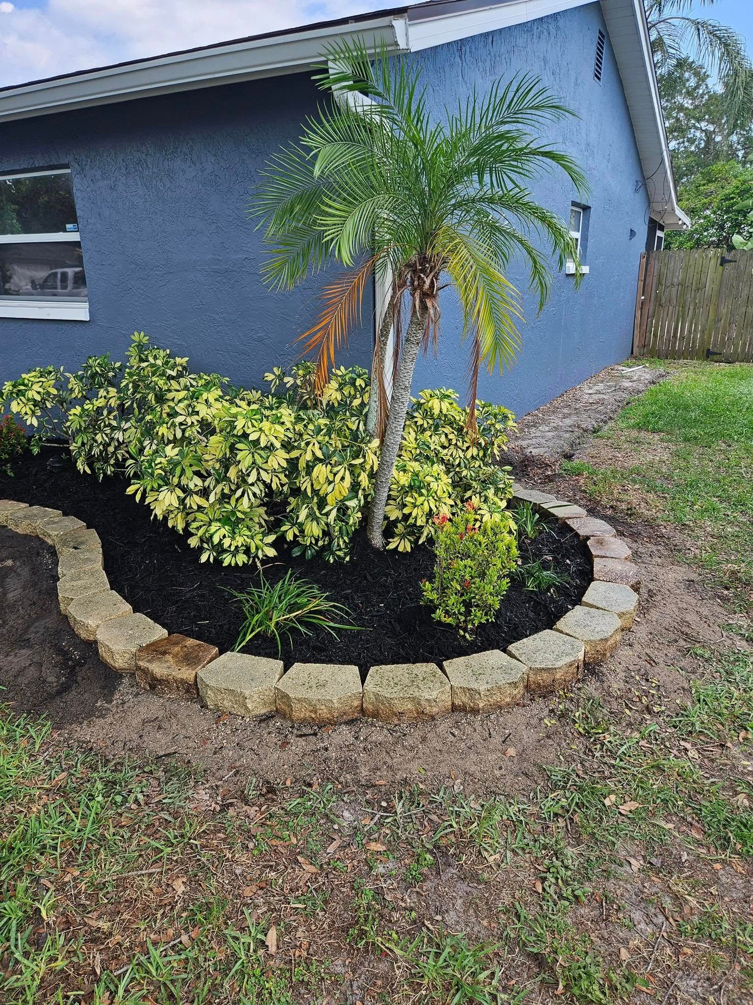 Flower bed with palm tree, surrounded by stone border and fresh mulch, next to a blue house.