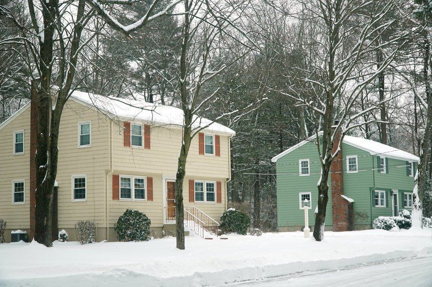 Pest Control in Hampstead, NH