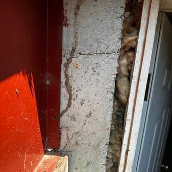 Termites Enter New Hampshire Homes Through Foundation Cracks