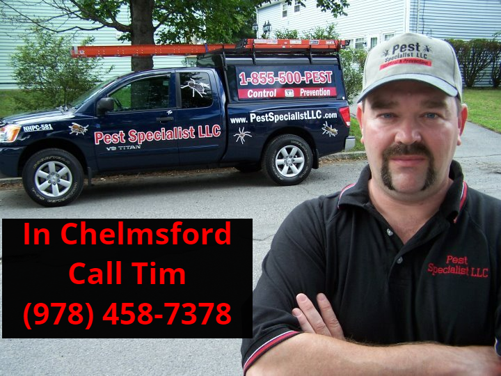 Pest Control Chelmsford MA